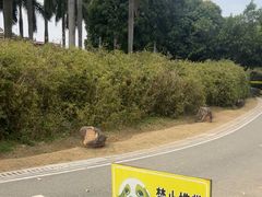 -八仙山公园