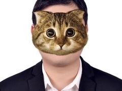 -柯达靓之彩影像网络(明瓦廊店)