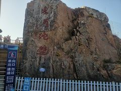 -枸杞岛