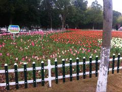 android_upload_pic-锦屏公园