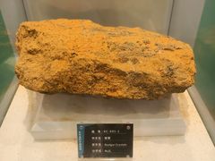 -金钉子远古世界景区