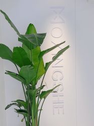 -魔型社烫染店
