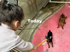 -史努比缤纷世界