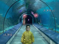 -福州罗源湾海洋世界旅游区