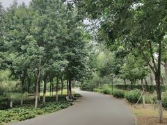 -永定河休闲森林公园