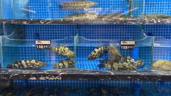 -宴宾楼·宴会厅(南开店)