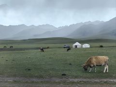 -新疆那拉提国家旅游度假区