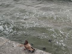 -星海广场