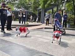 -仁和公园(顺义区)