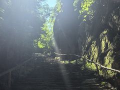 -天女山森林公园