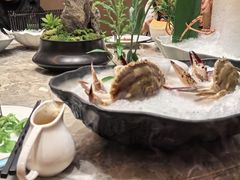 -揽季锅物会.福建黄鱼.海鲜姿造(五四路店)