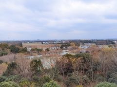 -梁鸿国家湿地公园