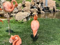 -沈阳森林动物园