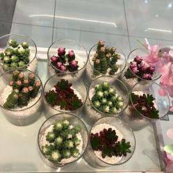 -紫颖·专业美胸·连锁养护中心