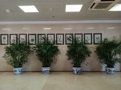 -中国中医科学院西苑医院(本部)