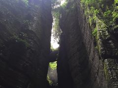 -梦幻奥陶纪景区