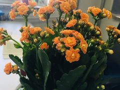 -三旗百汇商品城