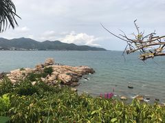 -芽庄喜来登水疗酒店