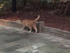 -龙达温泉生态城