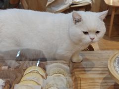 -龙湖杭州滨江天街