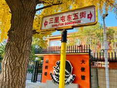-三里屯东五街银杏大道