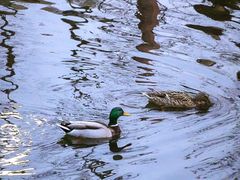 景点-元大都城垣遗址公园