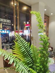 -蓝调造型·烫发·染发
