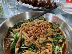 -石岐乳鸽村(南海第三分店)