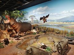 -陕西自然博物馆