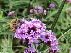 -共青国家森林公园-南大门停车场