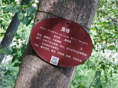 -北京上方山国家森林公园