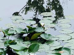 -白马涧龙池景区