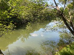 -白马涧龙池景区
