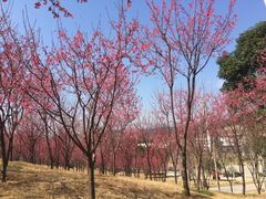 -牛岗山公园