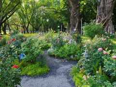 -人民公园(罗湖区)