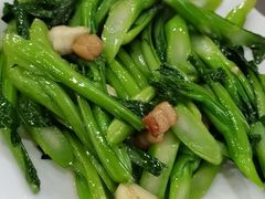 -广宁炭炉鸡煲·富临门饭店