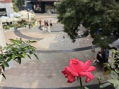 -中粮·祥云小镇