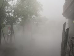 -新津老码头旅游小镇