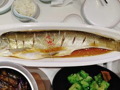 太湖白鱼-大碗居·烤鸭·鱼头泡饼(天坛东门店)
