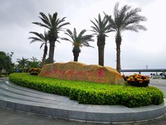 -宝安西湾红树林湿地公园