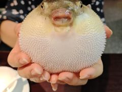 -永安鱼庄·镇江菜(东吴路店)