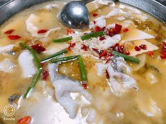 -陈生记黑鱼馆·20年活鱼现杀(宁波鼓楼店)