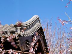 -三里河公园