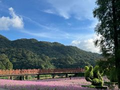 -广州市石门国家森林公园