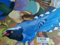 -福田红树林生态公园