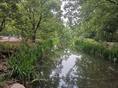 -上海共青森林公园