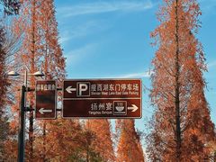 -扬州瘦西湖温泉