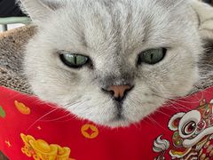 -小时光咖啡馆(北锣鼓巷店)