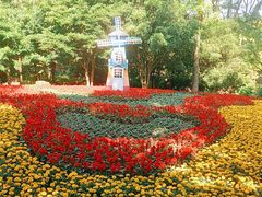 -上海共青森林公园