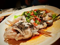 -侨美食家·41年地道粤菜(恒福路店)